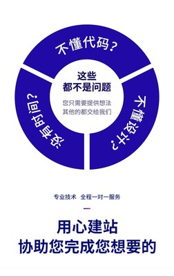 网站建设企业营销策划网络推广服务 岁悦商城网站定制开发 S101