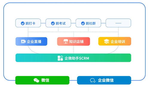 d轮融资1.2亿美元,小鹅通究竟在做什么