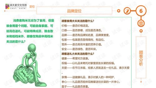 大米姐品牌营销策划案商业计划书精品模板.ppt