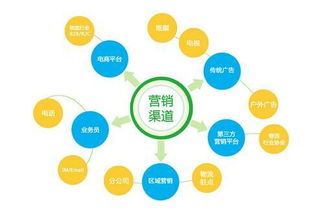 千享科技教企业制定网络营销渠道推广方案